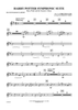 Harry Potter Symphonic Suite - EE-flat Contrabass Clarinet