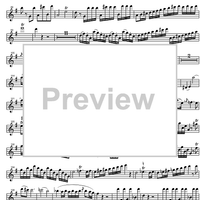 Concerto No. 1 G Major KV313 - Flute