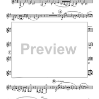 Concerto for Bass Clarinet - Bass Clarinet