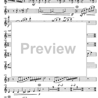 Concertino giocoso Op. 12 - Flute 1