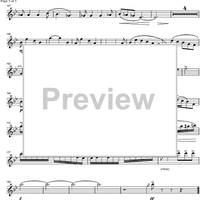 Argentinian Rhapsody - Violin 1