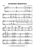 Chicken Scratch - Piano