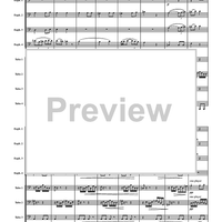 Allegretto - Score