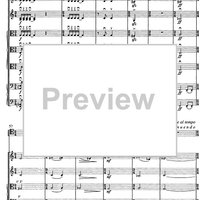 Contrabbasso concertante - Score