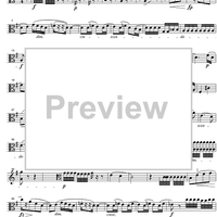 String Quintet G Major - Viola 1