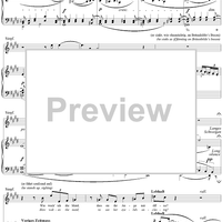 Siegfried, WWV86C, Third Act, Scene III, Siegfried, Brünnhilde