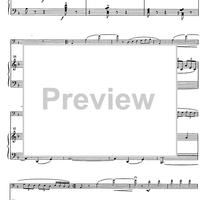 Suite andaluza - Score