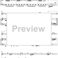 Sonata in G minor for Flute and Harpsichord  Op. 91, No. 2