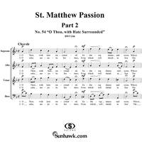 St. Matthew Passion: Part II, No. 54, "O Thou, with Hate Surrounded"