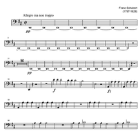 String Quartet No. 6 D Major D74 - Cello