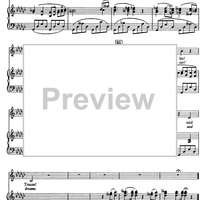 Die zwei Blauen Augen No. 4