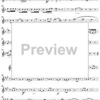 Grand Quatuor Concertante, Op. 53, No. 2 - Flute 3