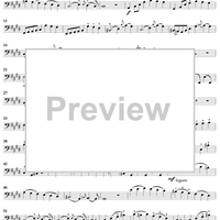 Thirty Etudes For Double Bass