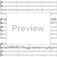 Brandenburg Concerto No. 6: Movement 2 - Score