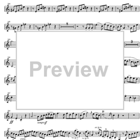 Concerto No. 3 Eb Major KV447 - Horn