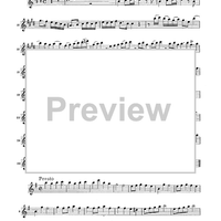 Double Concerto for Recorder and Flute in E minor - Flauto Traverso (Flute)