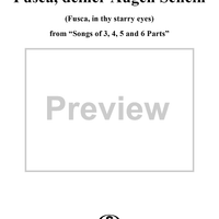 Fusca, deiner Augen Schein