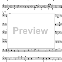 Divertimento No.15 Bb Major KV287 - Double Bass