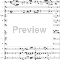 Serenade in D Minor, Op. 44, B77, Movement 1 - Score