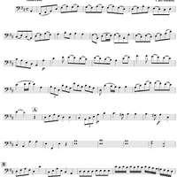 Duo No. 6 in D Major - Cello