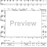 A Bar on the Piccolo Marina