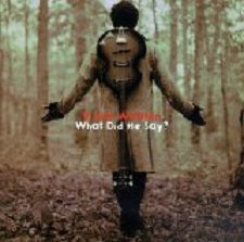 Norwegian Wood (This Bird Has Flown)