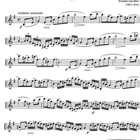 Capriccio No.14 e minor