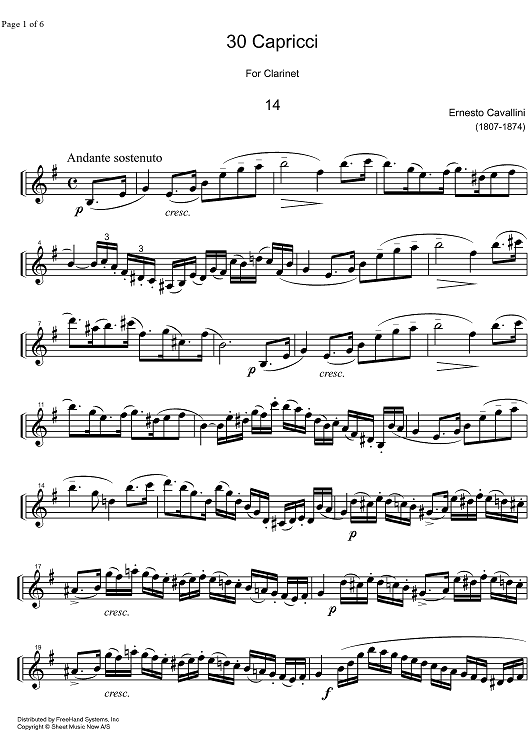 Capriccio No.14 e minor