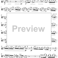 Viola d'Amore Concerto in G Major - Viola