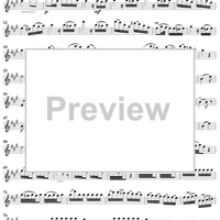 Grand Quatuor Concertante, Op. 53, No. 2 - Flute 1