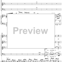 Mass No. 13 in B-flat Major: No. 5, Benedictus