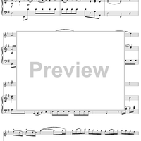 Flute Concerto in G Major, Allegro - Piano