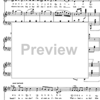 Should I be a Tailor?