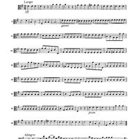 Double Concerto for Recorder and Flute in E minor - Viola