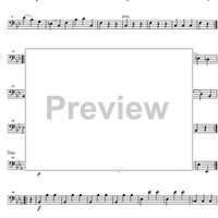 Divertimento No.15 Bb Major KV287 - Double Bass