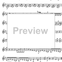 Divertimento Bb Major KV254 - Violin