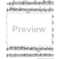 Mandolin & Guitar Collection No. 21 - Banjo Solo