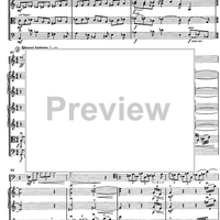 Contrabbasso concertante - Score