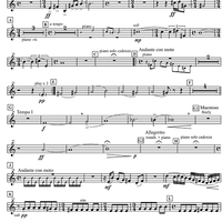 Concertpiece - Horn in E-flat 2