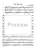 Reel String Trios - Score