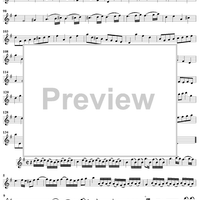 Sonata No. 5 in G Major - Flute