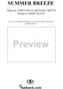 Summer Breeze