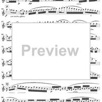 Grand Duo in E Minor, Op. 39, No. 1 - Flute 1