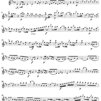 Violin Concerto No. 4 - Solo Violin