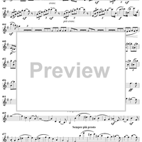 Violin Concerto in E Minor - Violin