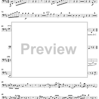 String Quintet No. 5 in D Major, K593 - Cello