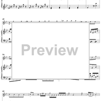 Sonata in G minor for Flute and Harpsichord  Op. 91, No. 2