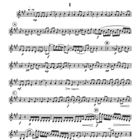 Concerto in Sol - Clarinet in B-flat