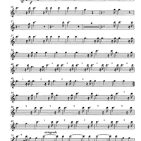 Quodlibetrio - Flute