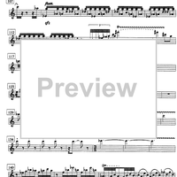 The troubled midnight - Flute